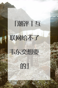 潮评丨互联网给不了韦东奕想要的